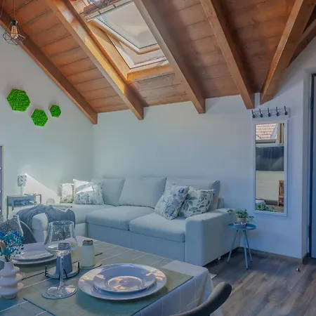 Skylight *