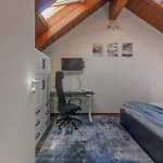 Skylight